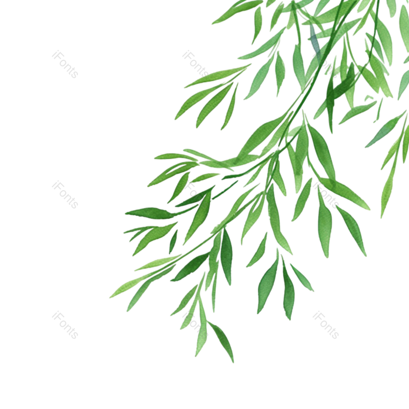 叶子图片,插图元素,装饰PNG,插画免抠素材